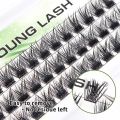 YOUNG LASH DIY Eyelashes Cluster Lashes Extensions C D Curl Premade Volume Fans Russian Eyelashes Makeup. 
