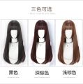 Jellyfish Hime Cut Black Long Straight Wig Female Long Hair Natural Realistic Full-Head Wig Princess Cut lolita. 