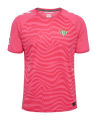 24-25 New Real Betis jersey football T-shirt Casual Ball Suit Breathable Loose Breathable Sweatwicking Training Clothes.