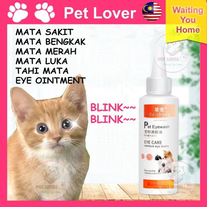 CATEYE Ubat Sakit Mata untuk Anak Kucing Cat Eye Drop Ubat Mata Kucing Bengkak 猫咪眼药水 Ubat Titis Mata Kucing Berair yang Mujarab Terbaik