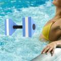Aquatic Dumbbell Bar EVA Water Dumbbell for Water Aerobics Workouts. 