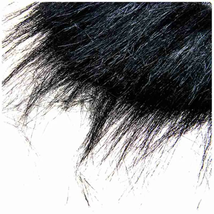 New%20how%20Prop%20beard%20-%20Image%205