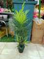 Artificial Plant - Home Decoration Item - Home Decoration Item - Home Decoration Item (FREE DELIVERY).