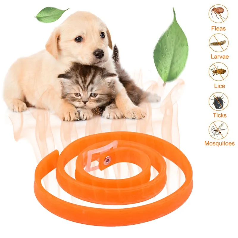 mosquito bites dog flea tick and mosquito prevention