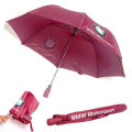 BMW Motorsport Umbrella -Folding Umbrella - Umbrella.