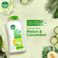 Dettol Body Wash Loofah Free Shower Gel Lasting Fresh with Refreshing Melon & Cucumber Fragrance, 12 Hours Odour Protection 250ml Shower Gel. 