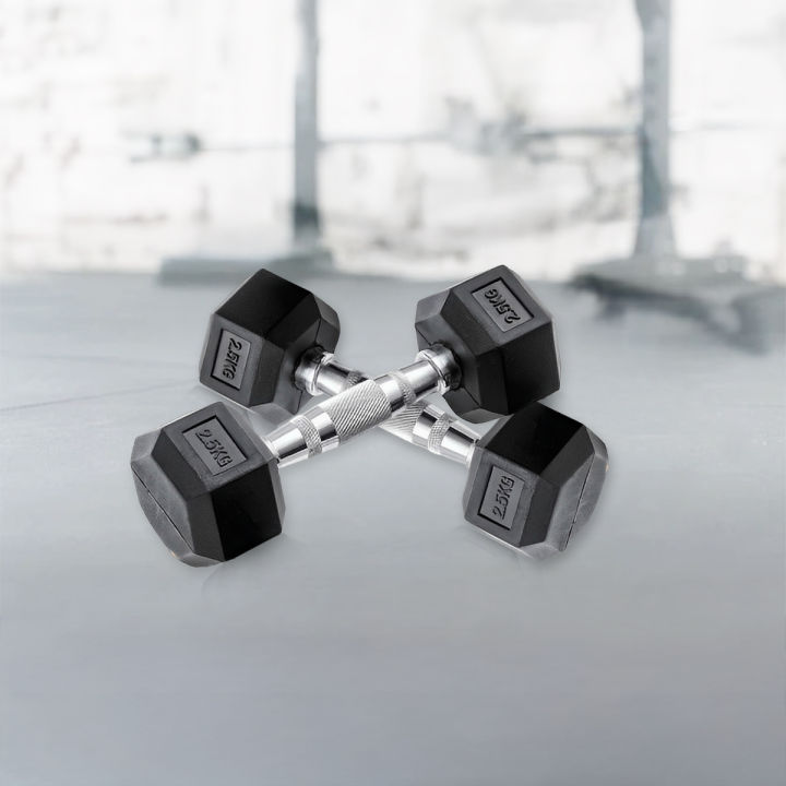 2.5kg%20Hex%20Dumbbell%202%20pcs%20-%20Sports%20&%20Fitness%20-%20Image%203