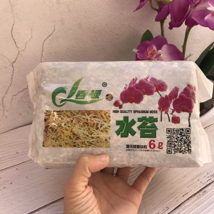 Natural%20Dried%20SPHAGAUM%20MOSS%20Garden%20Supplies%20Moisturizing%20Nutrition%20Organic%20Fertilizer%20For%20Butterfly%20orchid%20flowerpot%20decoration%20-%20Image%206