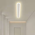 Large size LED strip ceiling light, hallway, foyer, dressing room, ultra-thin rectangular minimalist modern sun table lamp. 