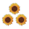 30PCS Iron on Stickers Sew on Stickers Mixed Embroidery Cloth Stickers Decorative Accessories Embroider Badge. 