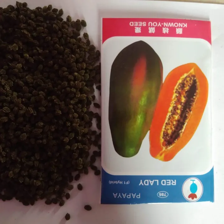 Papaya%20Red%20Lady%20F1%20Hybrid%20-25%20pcs%20Seed%20-%20Image%202