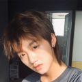 Wolf Tail Wig Full-Head Wig Korean Style Japanese Style StudentcosMen's and Women's Fluffy Lifelike Natural Short Hair Handsome Anchovy Head. 