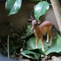 【The-Best】 Wild Forest Animal Zoo plastic Models Antelope Gazelle Argali Model Action Figure Figurines Teaching Kids Toys. 