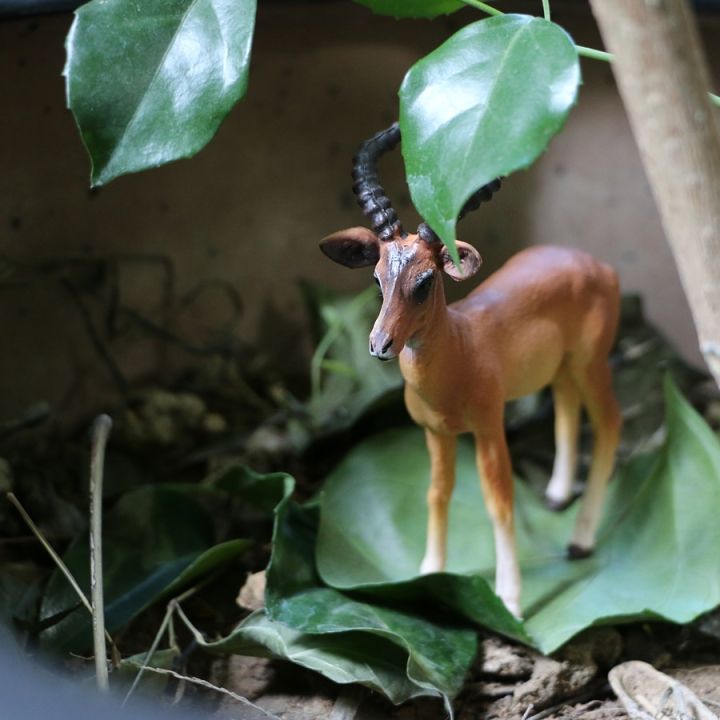 %E3%80%90The-Best%E3%80%91%20Wild%20Forest%20Animal%20Zoo%20plastic%20Models%20Antelope%20Gazelle%20Argali%20Model%20Action%20Figure%20Figurines%20Teaching%20Kids%20Toys%20-%20Image%203