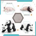 panda Model 4 Stages of Panda Playset Science Educational Toys Animal Growth Cycle Models. 