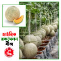 Hybrid rockmelon seed 10 pice+gift. 