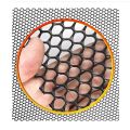 Plastic Chicken Wire Fence Mesh,Fencing Wire Black. 