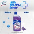 Lizol Disinfectant Floor & Surface Cleaner 500ml Lavender, Kills 99.9% Germs. 