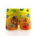 Boys Swimwear Cartoon2-10years Children's Summer Beach Swimsuit Boys Swimming Trunks Swimsuit One Piece.