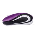 Mouse Raton Gaming 2.4Ghz Wireless Mouse USB Receiver Pro Gamer For PC Laptop Desktop Computer Mouse Mice For Laptop Computer.