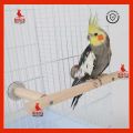 Pet Bird Perch Stand – Durable Cage Accessory for Birds | Ideal for Play & Rest | Bangladesh. 