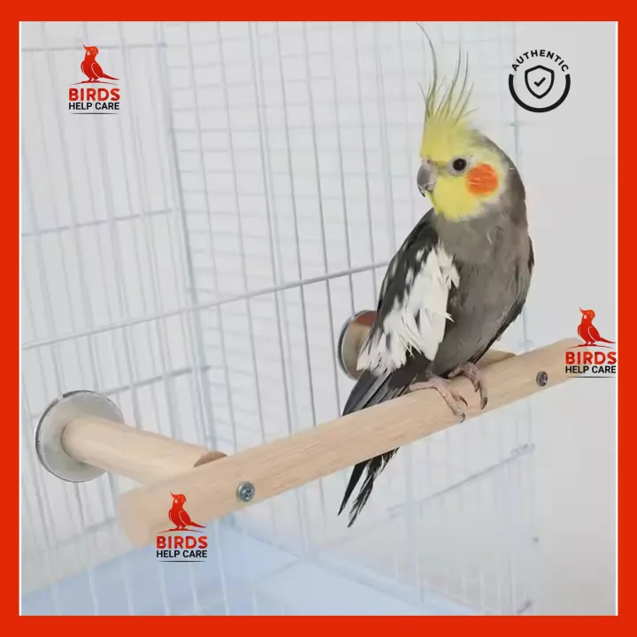 Pet%20Bird%20Perch%20Stand%20%E2%80%93%20Durable%20Cage%20Accessory%20for%20Birds%20%7C%20Ideal%20for%20Play%20&%20Rest%20%7C%20Bangladesh%20-%20Image%202
