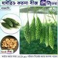 করলা  বীজ - ১০/২০ পিচ - হাইব্রিড বড় জাত বারমাস চাষযোগ্য. 