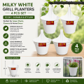 Milky White 15 cm Grill  Planters 4 pcs set. 