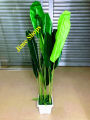 Artificial Banana tree in plastic tob 5.6ft, big trees for home or restaurant decoration.