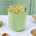 Bean Sprout Machine Bean Plants Sprouting System for Greenhouse Gardening.