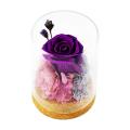 Migeet Preserved Re-al Rose Flower Eternal Rose in Glass Scented fo-rever Rose Flower Present for Women Mother's Day Valentine Romantic Wedding Home Party Festivals Anniversary Christmas Eve. 