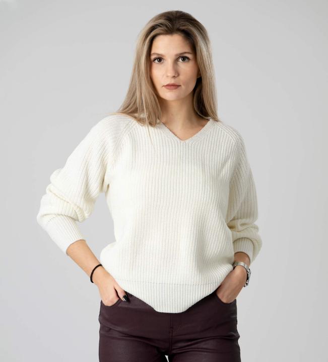 Pantoneclo Premium Women's V-Neck Sweater / Cardigan