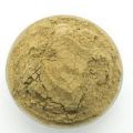 Gastic Care (Made From 8 Very Valuable Natural Herbs)- 200 Gm. 