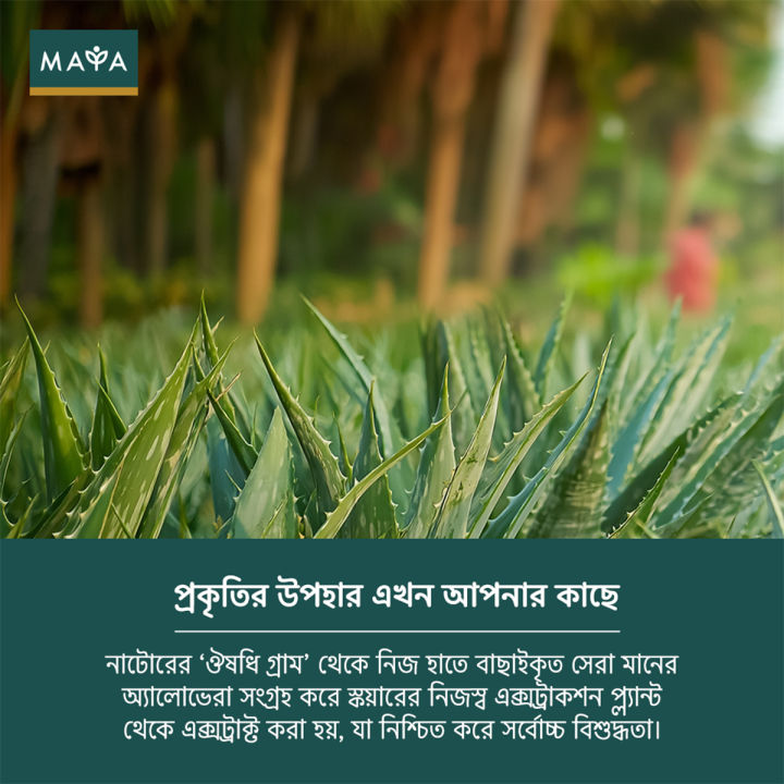 MAYA%20True%20Herbs%20Aloe%20Vera%20Gel%20-%20250%20ml%20-%20Image%206