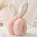 Cold Weather Ear Muffs Cute Winter Accessories Warm Ear Bags Winter Ear Warmers Plush Ear Sets Folding Ear Muffs. 