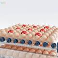 Automatic Egg Incubator Small Egg Hatcher Machine for Chicken Birds Quail 12 eggs 26x31x21cm. 