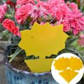 Sticky Traps Fruit Fly And Gnat Trap Yellow Sticky Bug Traps Insect Catcher Protect The Plant. 