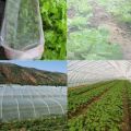 2Pcs 2.5X 10 Meter 8X32Ft Vegetable Netting Mesh Mosquito Anti Bird Net Greenhouse Garden Crop Vegetable Fine Mesh Cloth. 