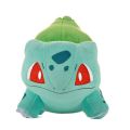 Sunfloweio Pokemon Pikachu Plush Toys Eevee Charmander Squirtle Charizard Blastoise Kawaii Anime Stuffed Dolls Decoration for Kids Gifts. 