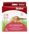 Bioline Cat Grass Kit 12g. 