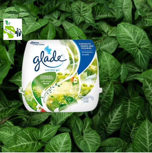 Glade Scented Gel - 180gm  For Office, Home And Car (MORNING FRESHNESS Flavour) | Glade Air Freshener | Made in Thailand