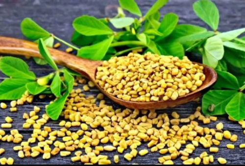 Whole Methi ( Asto Methi ) Seed - 100 gm