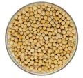 Double Pulses/Double Boot (Double) - 1Kg. 