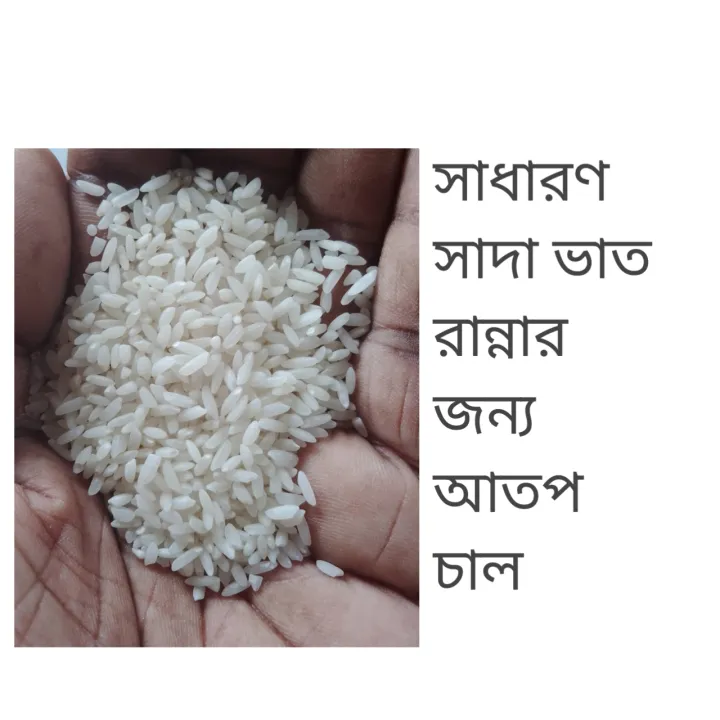 10 Atap thick Rice 25kg Domestic Rice Haski mill's at low price | Daraz ...