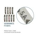 5 Ps Ceramic Fuse 6mm x 25mm Fast Blow. 