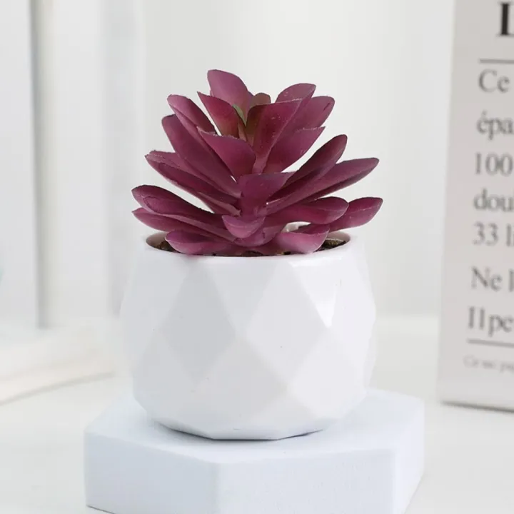 Mini%20Evergreen%20Artificial%20Succulent%20Fake%20Plants%20Plastic%20Succulents%20Bonsai%20Cactus%20Bonsai%20Plants%20Home%20-%20Image%206