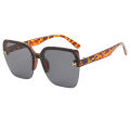 Latest Trendy Special Sunglasses for Women.