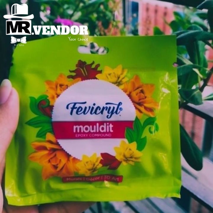 Fevicryl Mouldit Art Clay (50 g) for any artwork