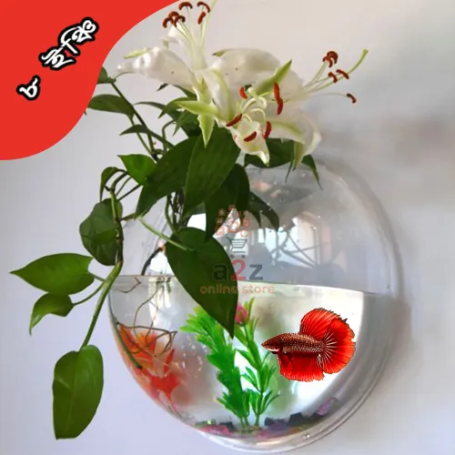 Full%20Transparent%20Plastic%20Wall-Hanging%20Aquarium%20%7C%20Wall%20Hanging%20Fish%20Tank%20%7C%20Wall%20aquarium%20bowl%20-%20Image%204
