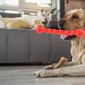 Dog Chew Toys Puppy Teething Sticks Lightweight Portable Molar Interactive Chewing Toys Biting Toys for Dogs for Doggy Pets Supplies , Red, S. 
